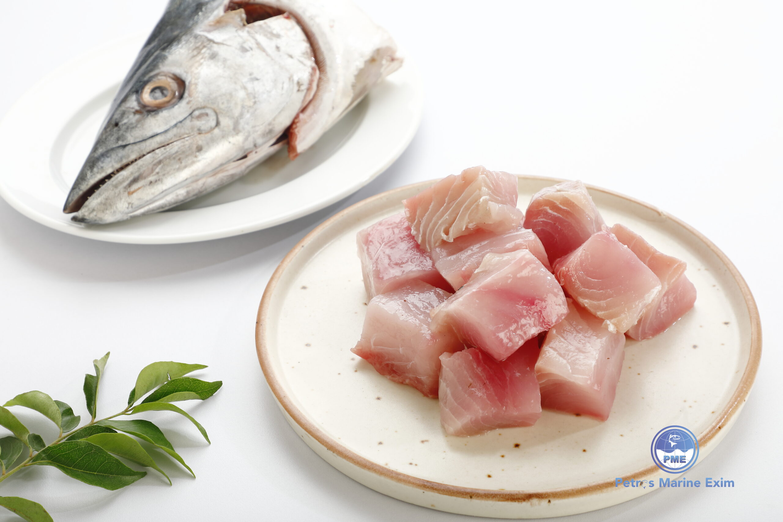 வஞ்சிரம் மீன்  KING-FISH